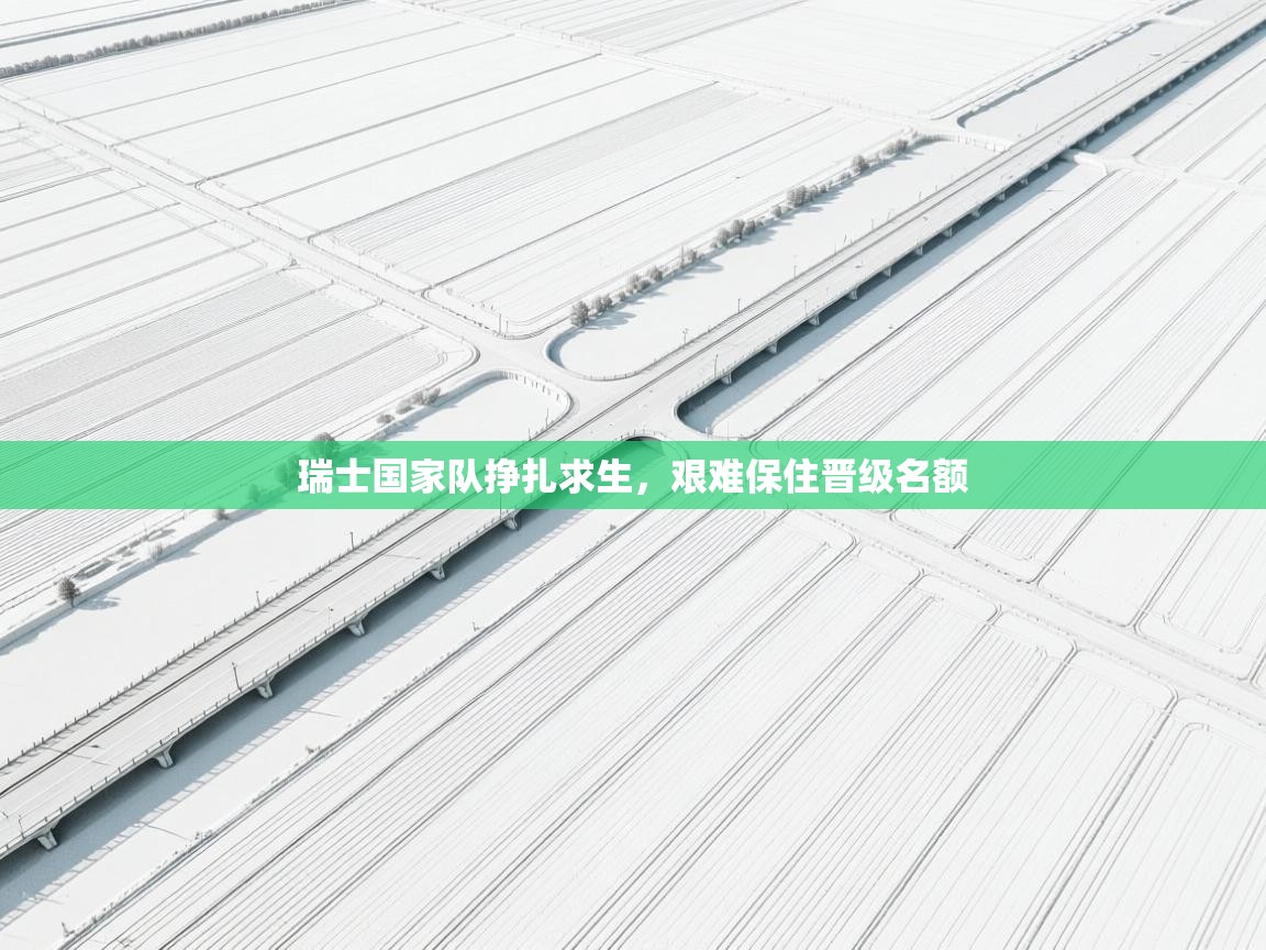 瑞士国家队挣扎求生,艰难保住晋级名额 第1张