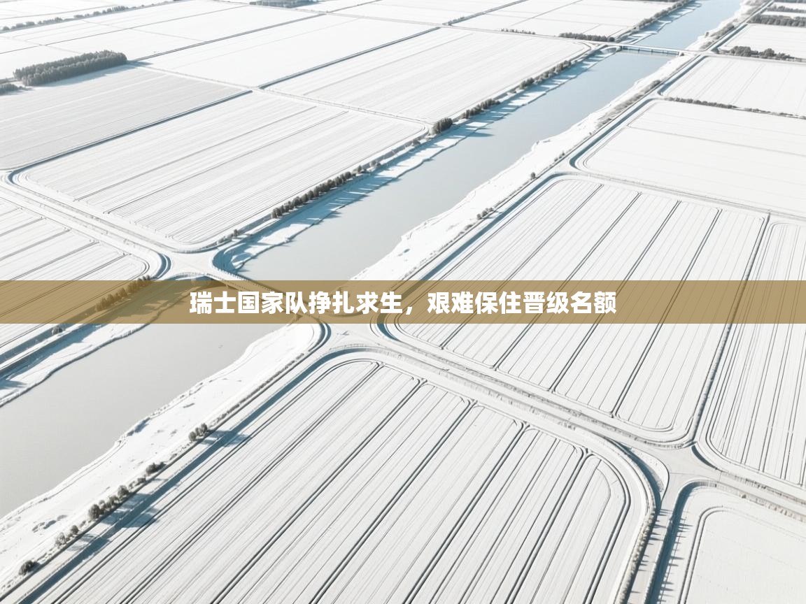 瑞士国家队挣扎求生,艰难保住晋级名额 第2张